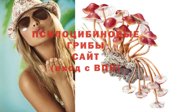 дживик Балахна