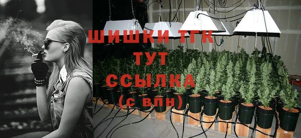 дживик Балахна