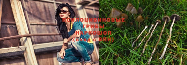 дживик Балахна