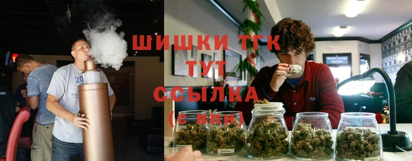 дживик Балахна