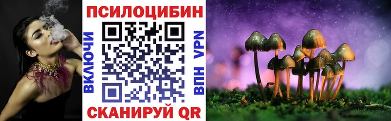 Галлюциногенные грибы Cubensis  Купить  Горно-Алтайск 